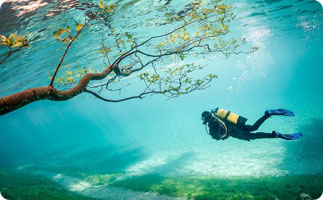 A truly unique dive experience at Green Lake in Austria