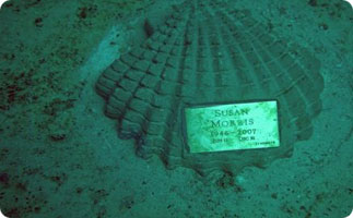 A memorial at Neptune Memorial Reef