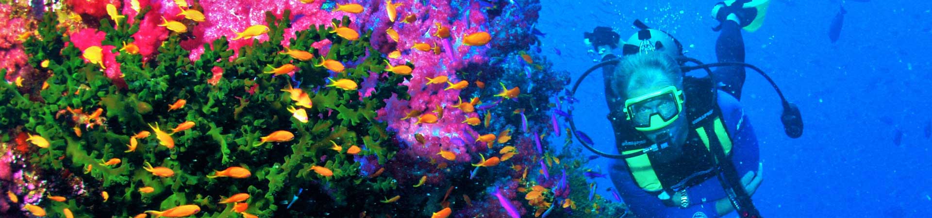 Fiji's Soft Coral Dive