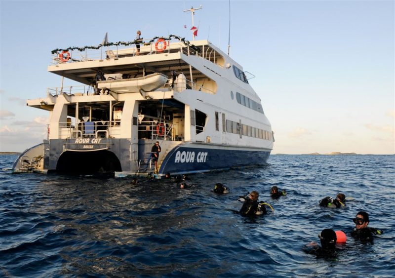 Aqua Cat Fly Sea Dive Adventures