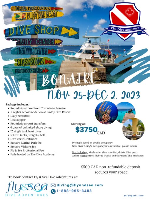 Bonaire Dive Academy Flyer