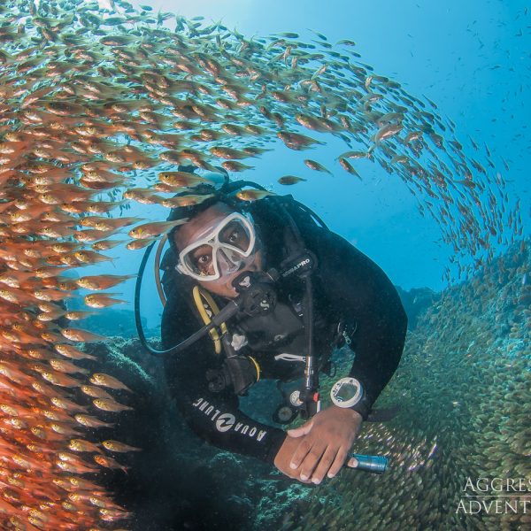Oman Aggressor - Underwater