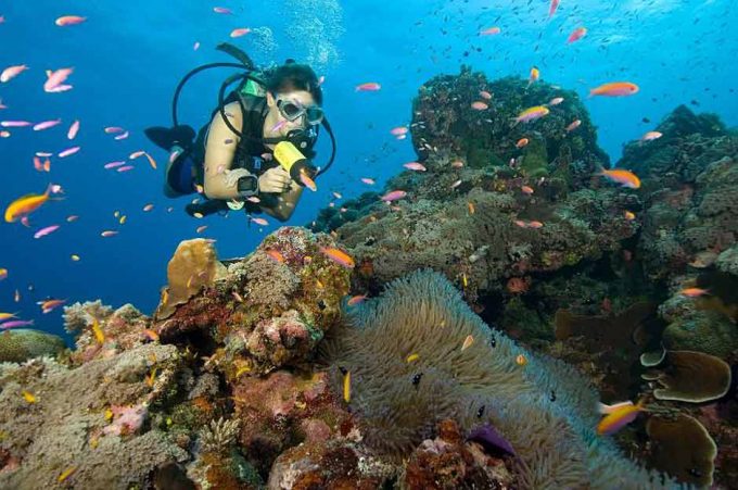 20 Best Dive Travel Tips - Fly & Sea Dive Adventures