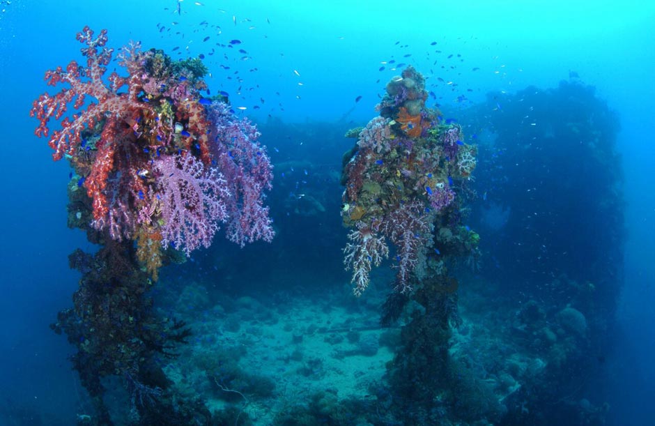 Wreck Diving in Truk Lagoon - Image by Rick Heydel