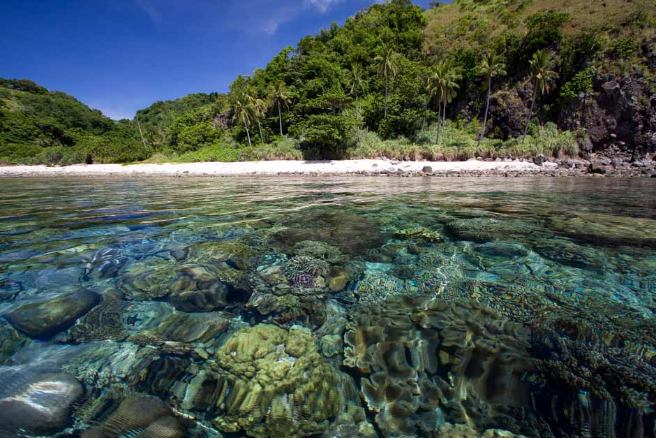 The Phillipines, an integral part of the coral triangle
