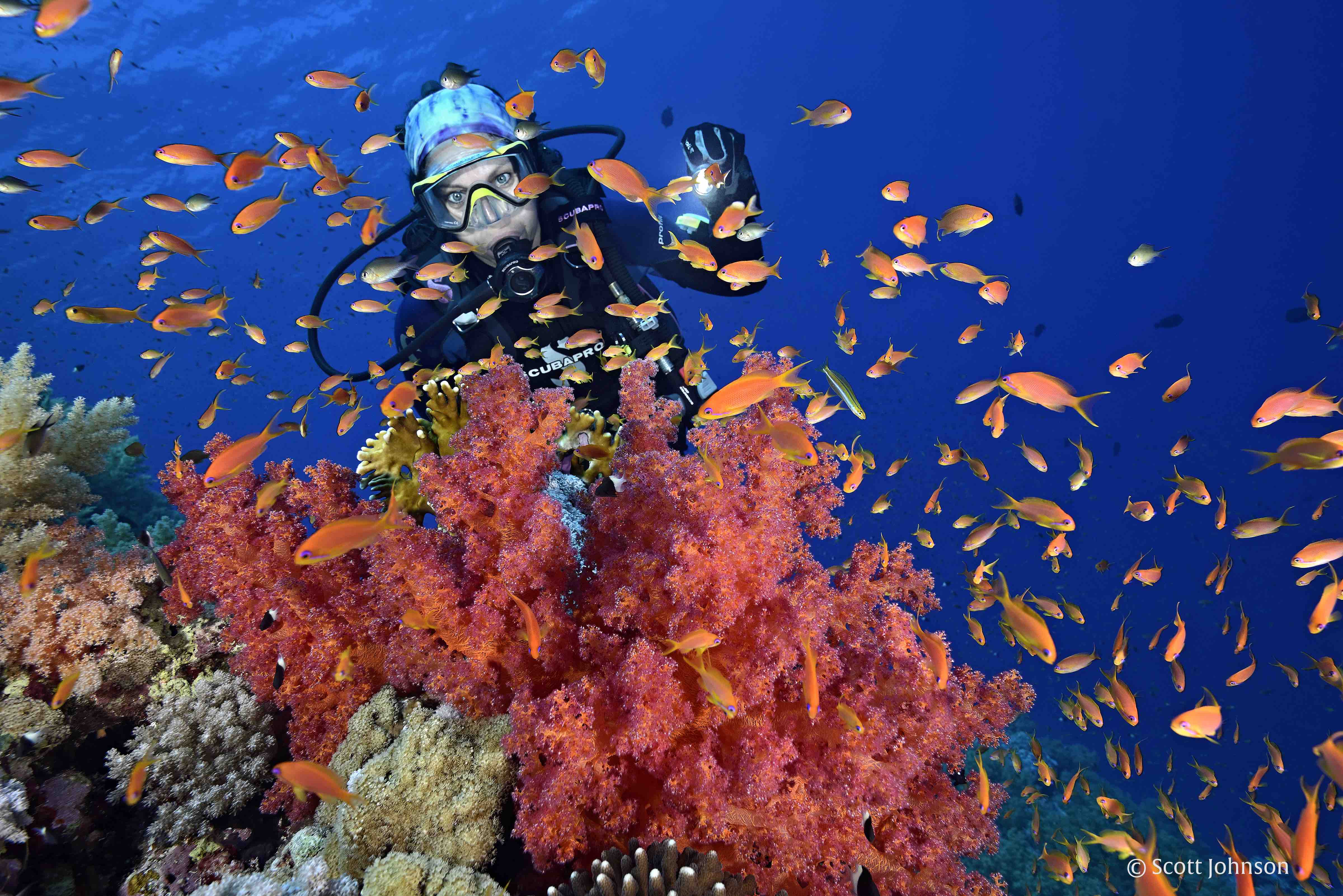 Какого океана является красное море. Дахаб коралловые рифы. Красное море. Красное море Египет. Красное море снорклинг.