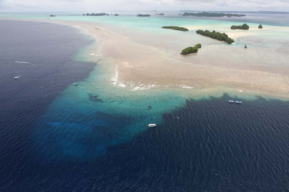 Palau's Blue Corner dive site