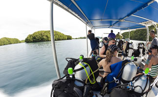 Palau Aggressor -Dive-Boat