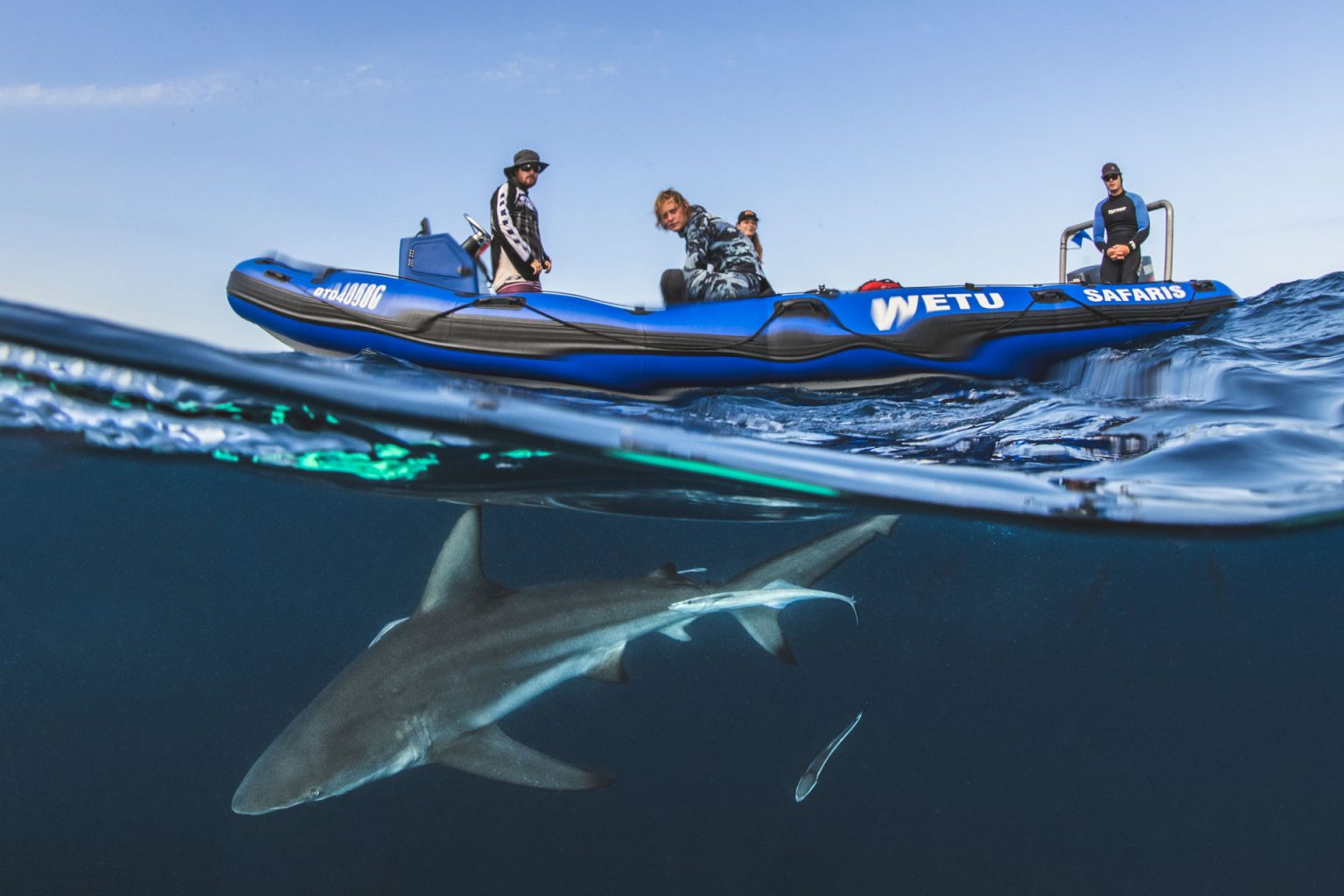 big-five-dive-in-south-africa-fly-sea-dive-adventures