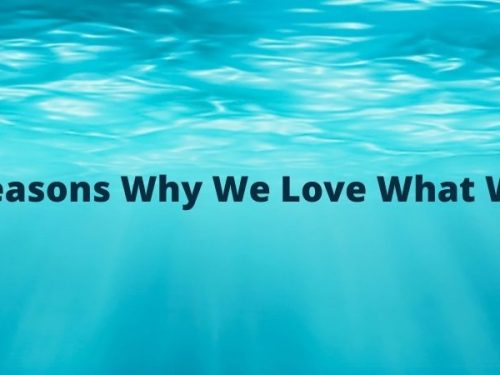 25 Reasons Why we love our job