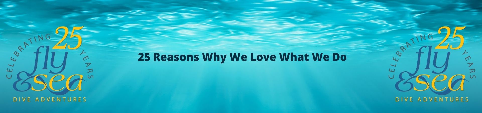 25 Reasons Why we love our job