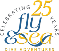 Fly & Sea 25th Anniversary