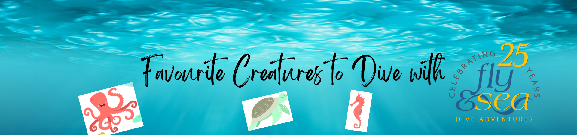 Favourite Creatures to dive with