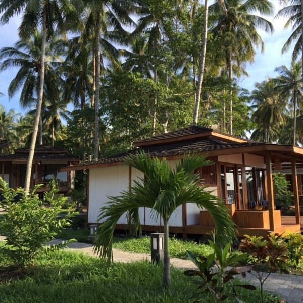 Dive into Lembeh Bungalow