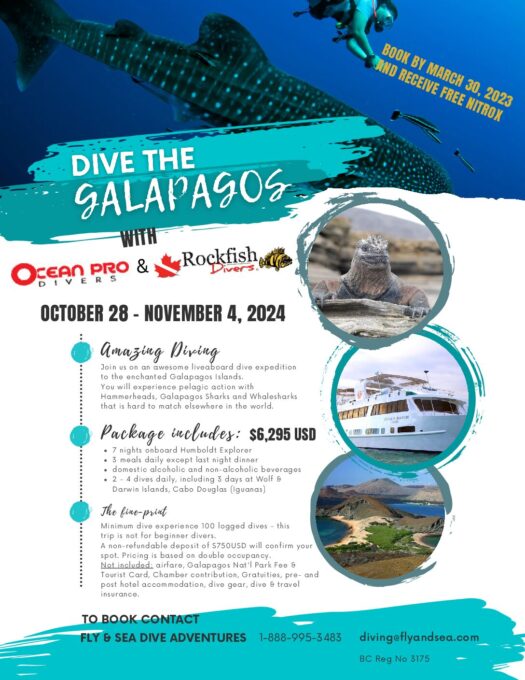 OceanPro Galapagos Flyer