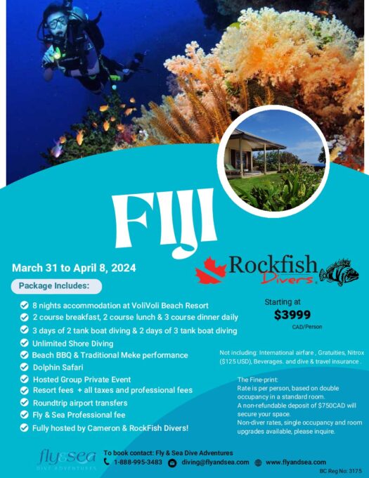 Scuba diving in Fiji. Where to dive and how much it costs