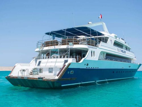 Blue Melody Liveaboard