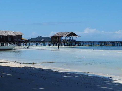 Dive into Raja Ampat