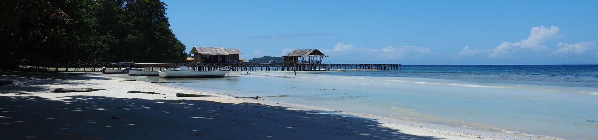 Dive into Raja Ampat